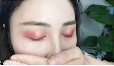 real techniques��Ӱˢ��ô�� real techniques��Ӱˢ����